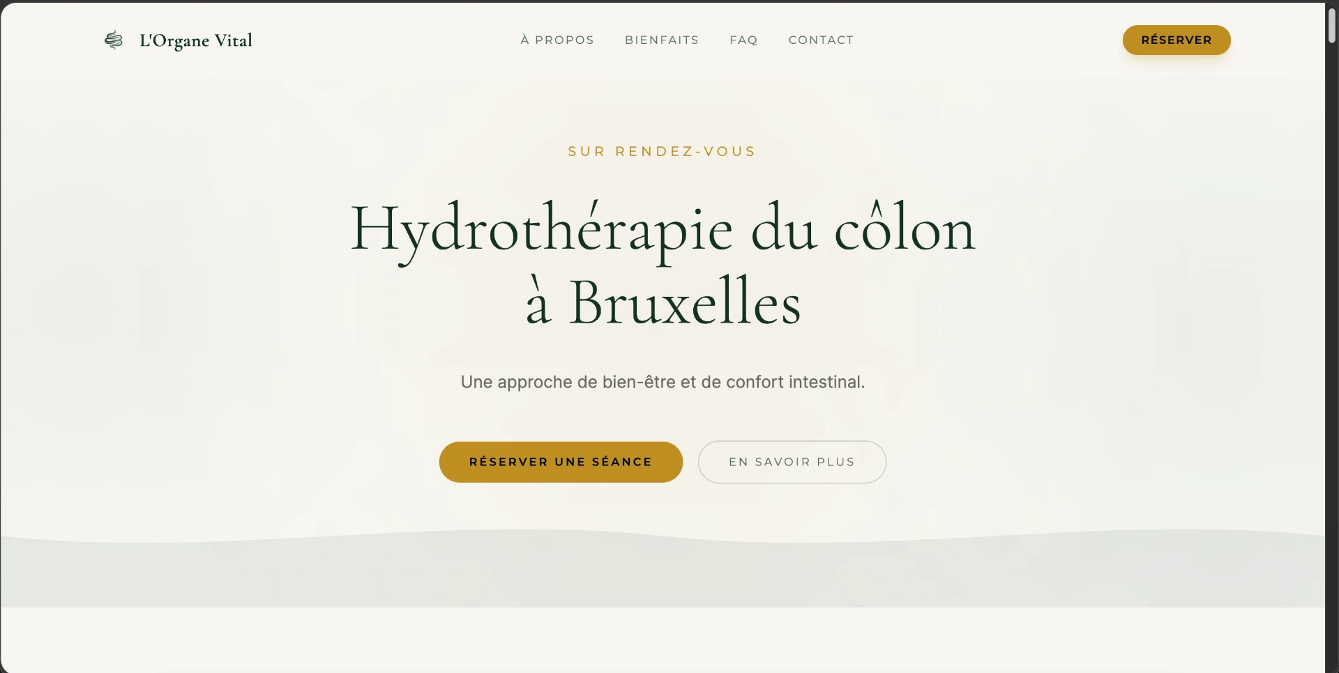 Print do site L'Organe Vital